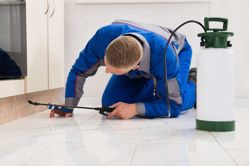 Garfield Heights Ant Control Xperts