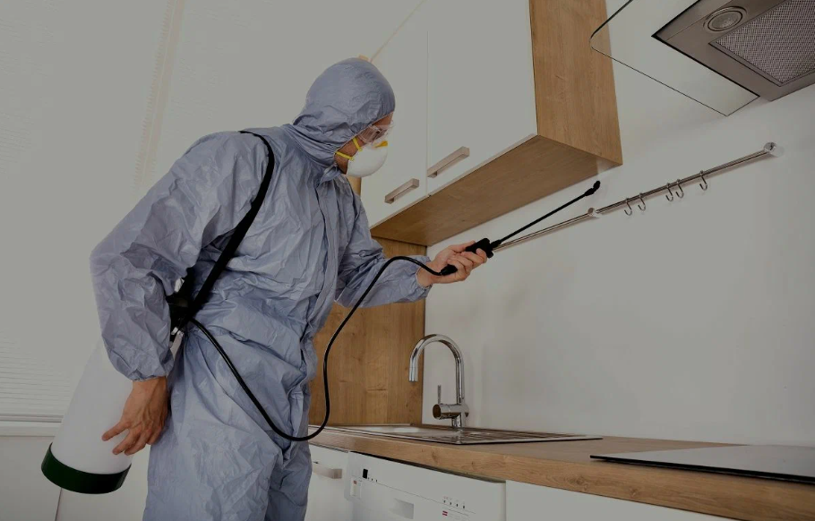 pest-xperts
