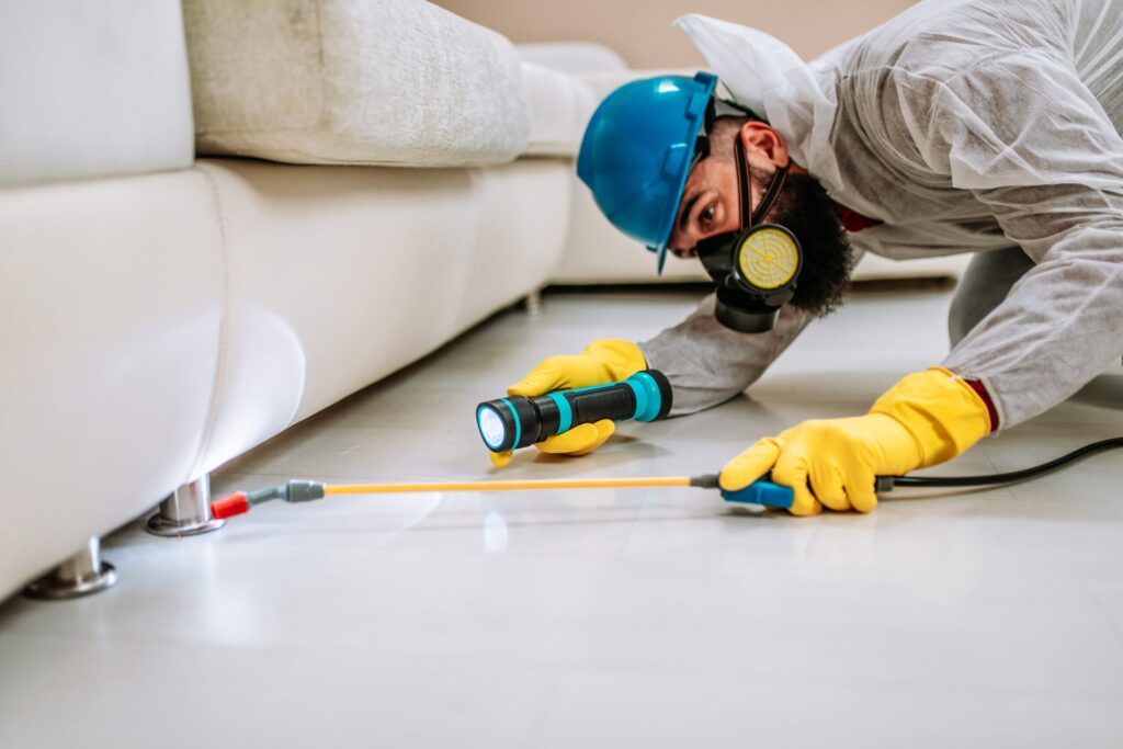 pest-control-xperts